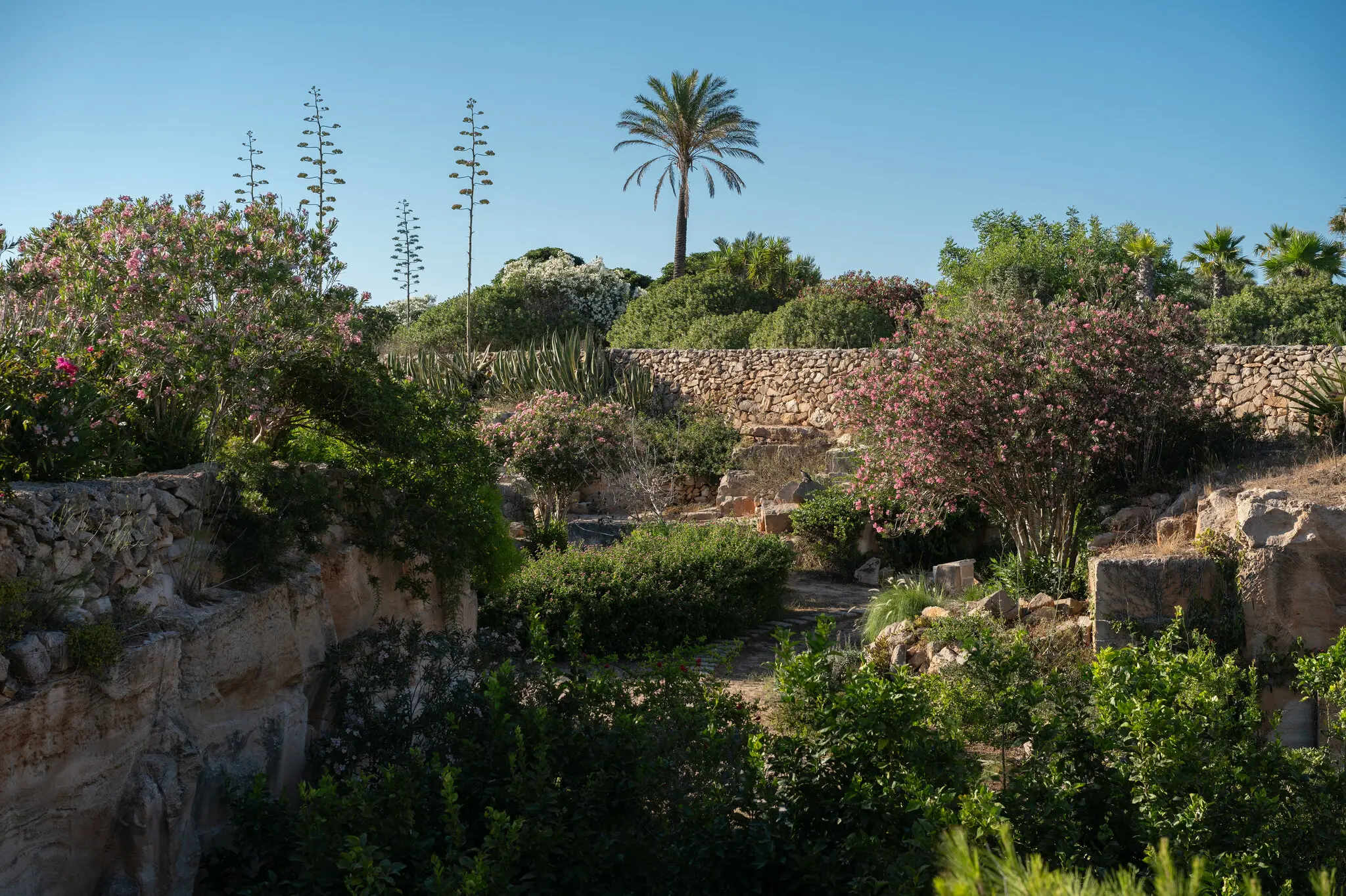 У Саду неможливого десяток кар'єрів, що датуються 1700-ми роками, перетворилися на величезний музей просто неба, де зібрано майже 500 різновидів рослин.